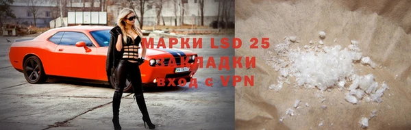шишки Михайлов