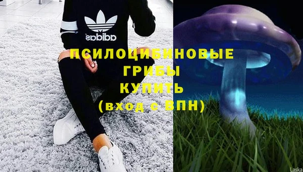 PSILOCYBIN Медногорск