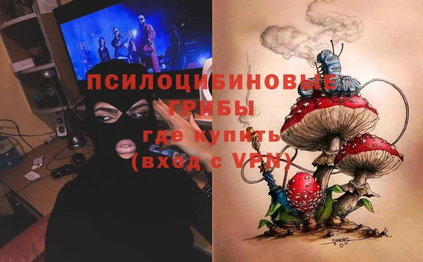 PSILOCYBIN Медногорск